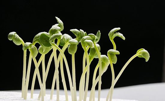 1559203857506765.jpg 3-5_WPS圖片.jpg