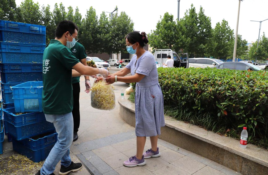 河南虞城：企業(yè)向群眾免費提供50萬斤新鮮芽苗菜